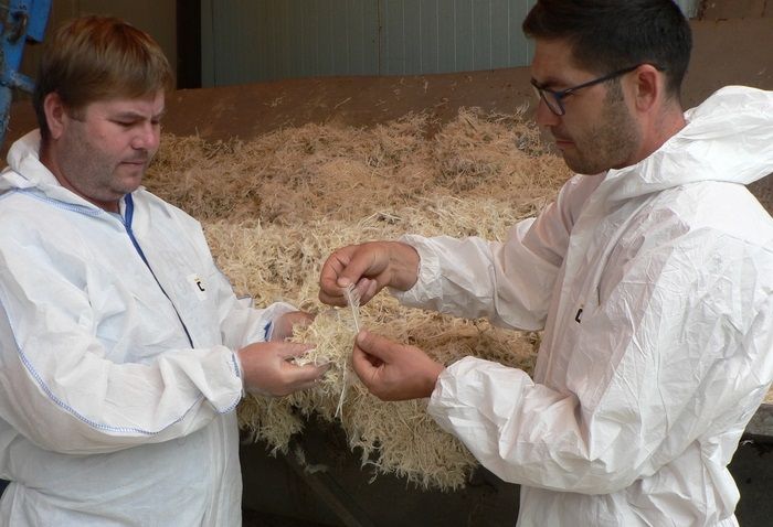 Two brothers get protein from a poultry feather. Find out their business story