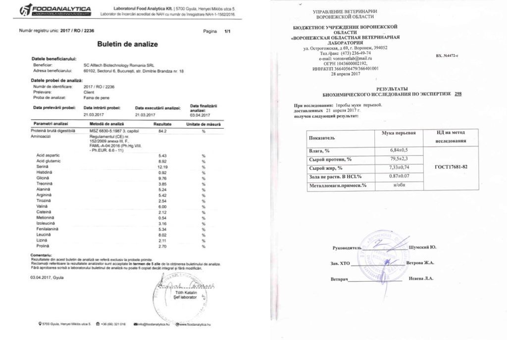 
                        Eficient, natural și ușor asimilabil. Concentratul proteic din pană de pasăre poate fi cheia succesului fermei tale.
                    