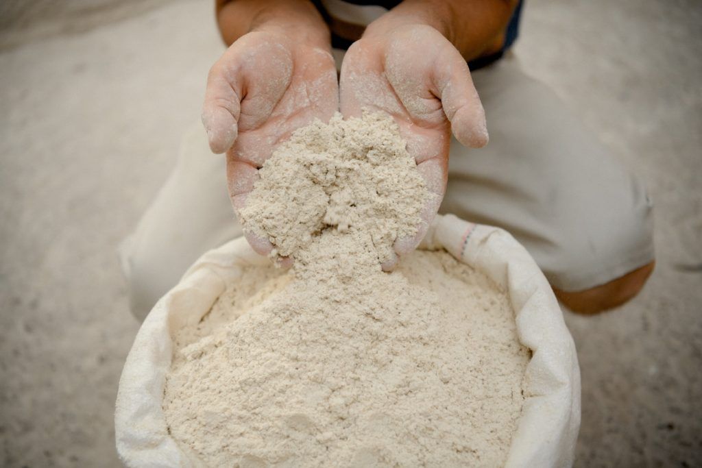 
                        Efficient, natural and easily assimilated. Poultry protein concentrate can be the key to your farm’s success.
                    