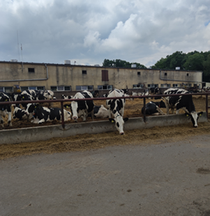 Uniclad: Visit to Poznan University of Life Sciences (PULS)
                     
                        Uniclad: Visit to Poznan University of Life Sciences (PULS)