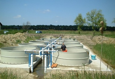 Study visit to Debrecen University (Hungary) - May 2023
                     
                        Study visit to Debrecen University (Hungary) - May 2023